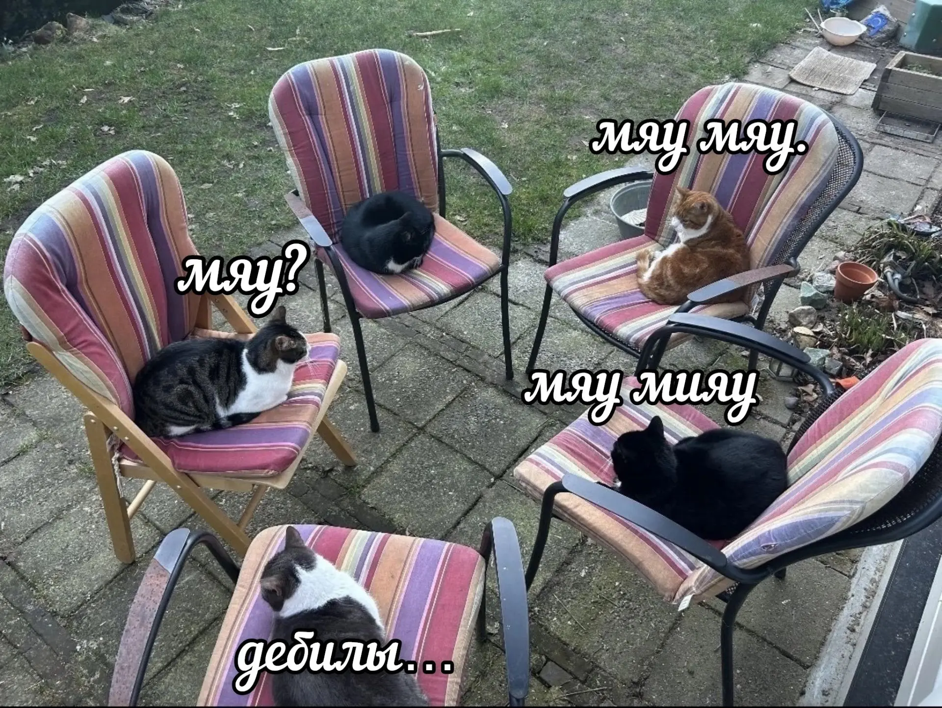 Лавров на международной конференции)))