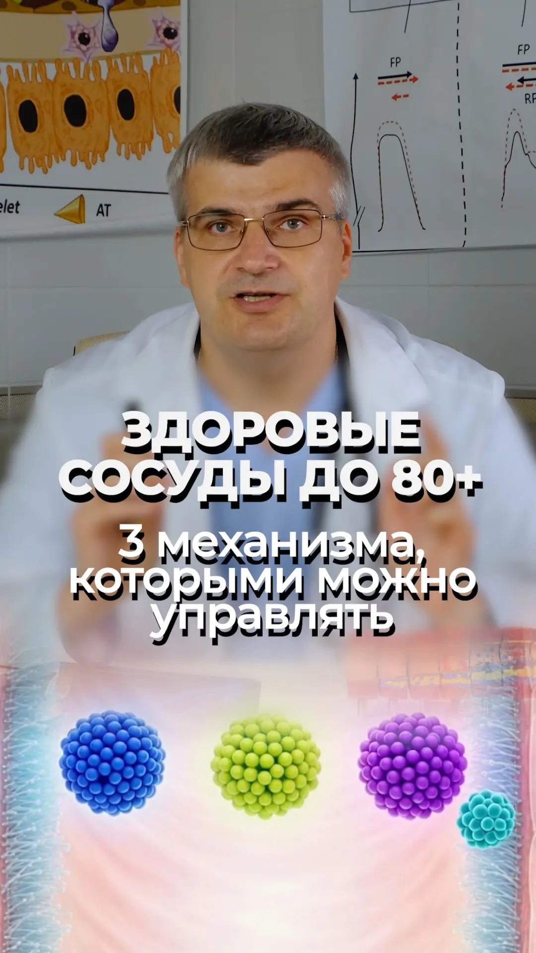 Я создал лабораторию, чтобы управлять старением сосудов — а не просто наблюдать за ним 🧬