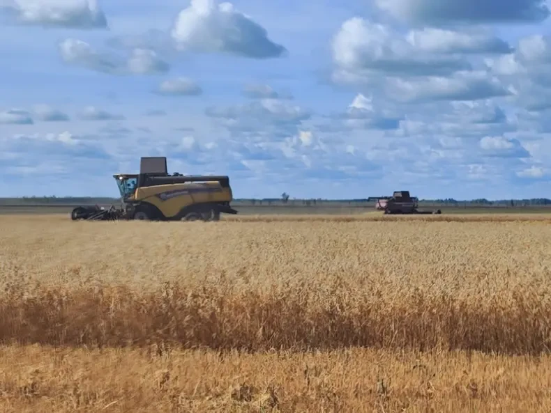 В Крутинском районе продолжается уборочная кампания