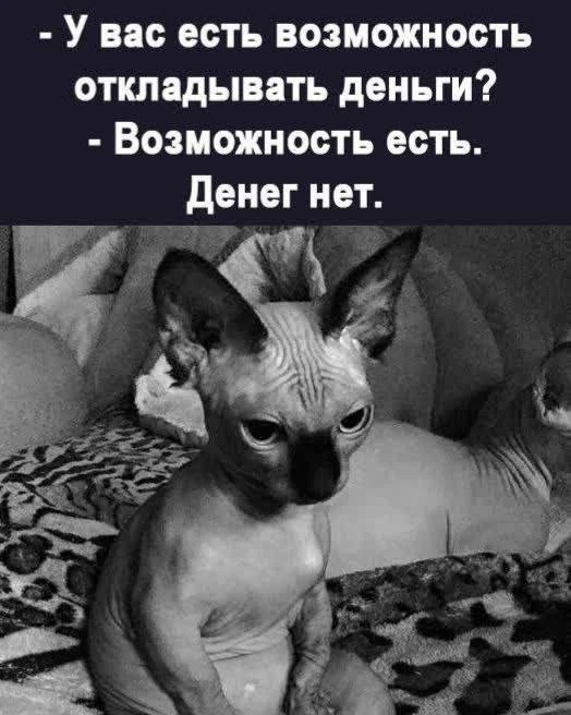 Я девочка, мне можно!