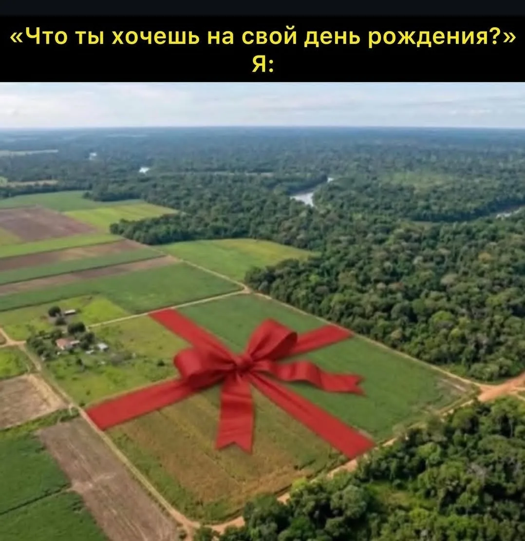Подарок можно выбрать до 500 000 рублей 🎁