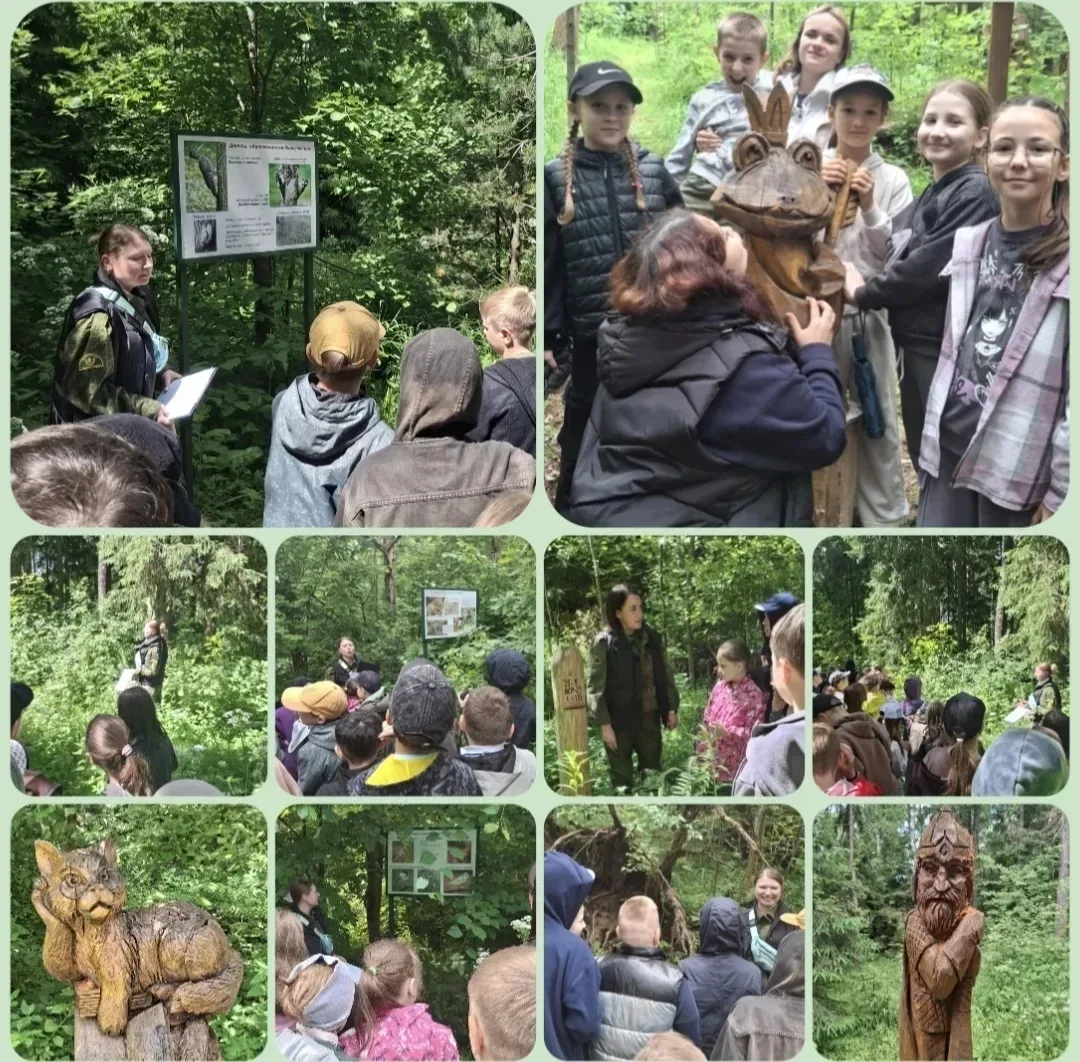 🌲🌱🍀Экскурсия 17 июня 2026 г. в Экопарк «Начинание»: как воспитанники ЛДП "Солнышко" на базе "МОУ 