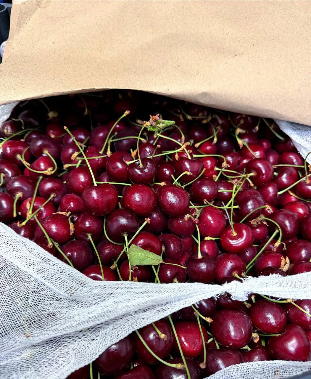 Сегодня приехала черешня 🍒 невероятная! Она хороша всегда, но эта партия - исключитель...