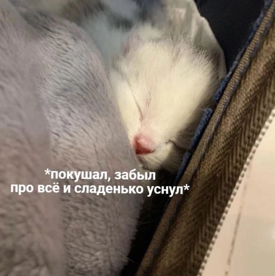 ПОСТ УМИЛЕНИЯ В ЭТОТ ПОНЕДЕЛЬНИК 
для наших подписчиков! 

картиночка под любое ваше настроение!🥹❤️