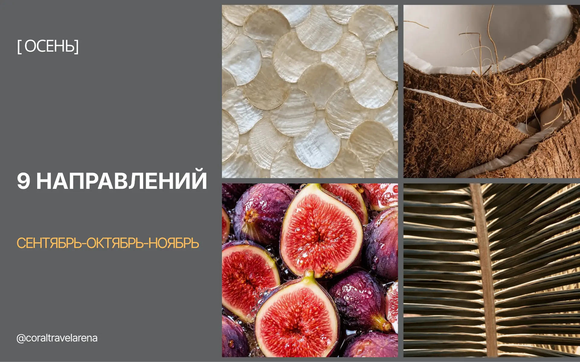 А КУДА ПОЛЕТЕТЬ ОСЕНЬЮ?