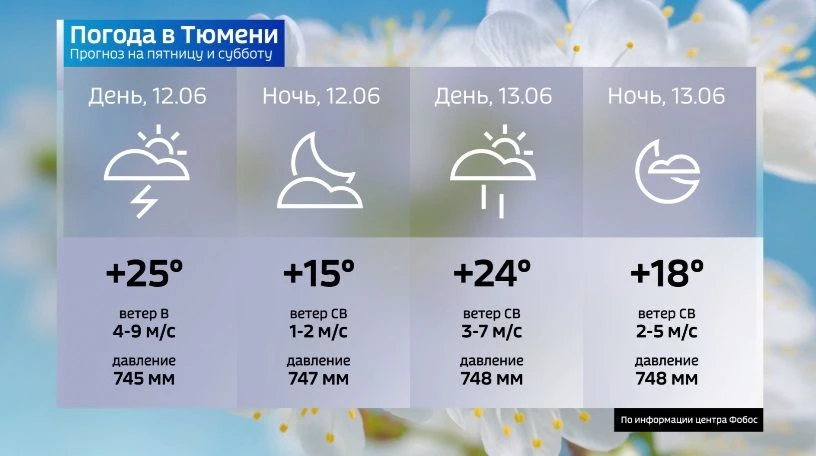 12 июня циклон останется на южных рубежах Тюменской области. Западная Сибирь продолжит ...