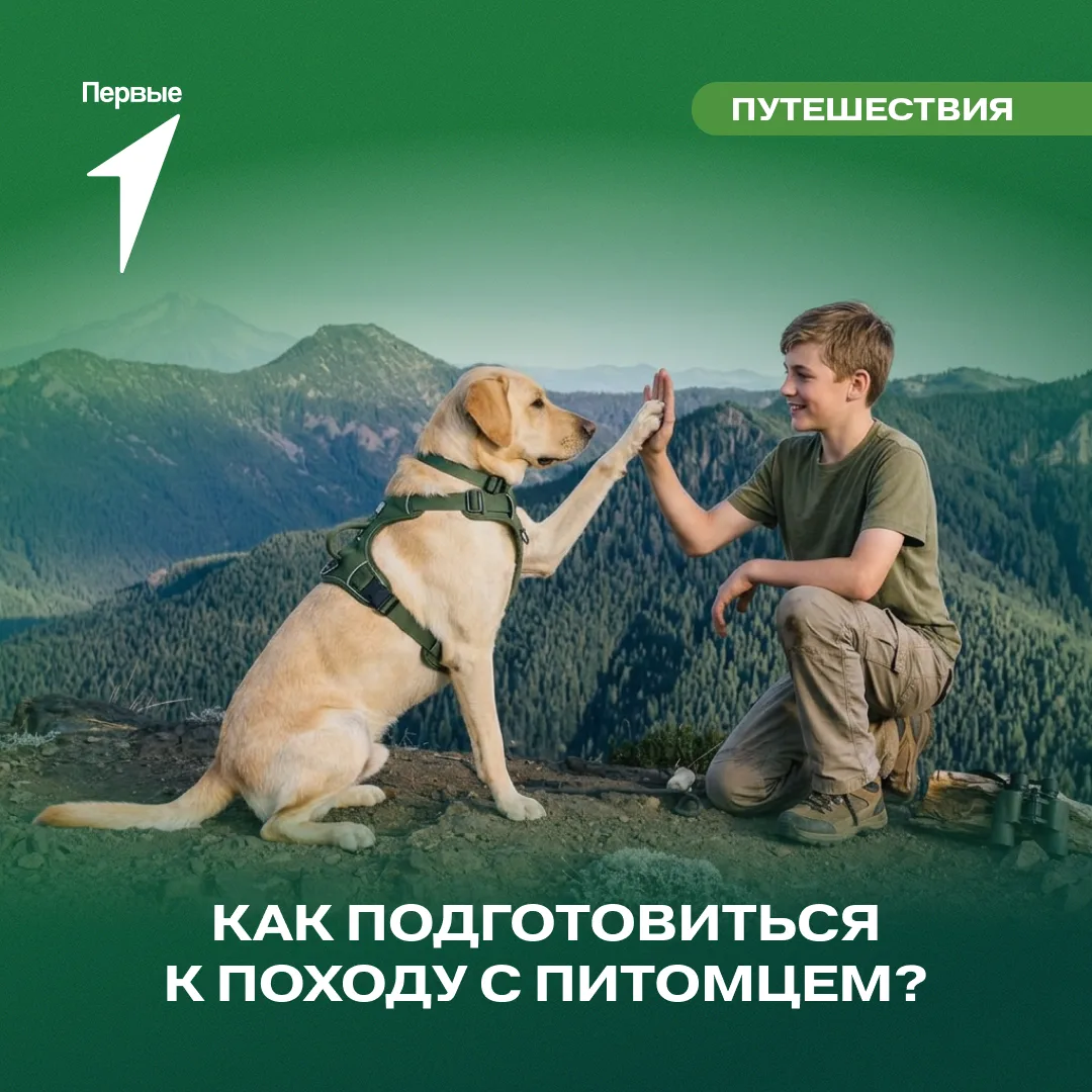 🐶 Рюкзаки собраны, маршрут выбран, а питомец уже крутится у двери и готов отправиться навстречу при