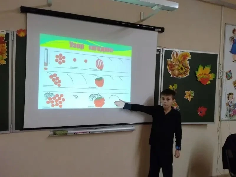 📚 Ученики школы на Суздальской нарисовали хохлому