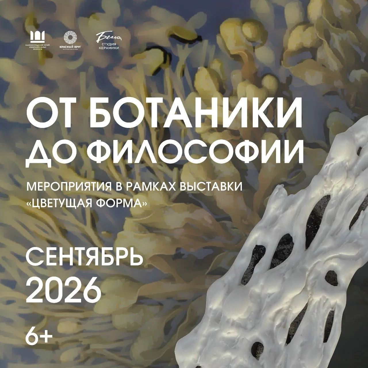 📢Приглашаем на мероприятия в рамках выставки «Цветущая форма». Вас ждут лекции калинин...