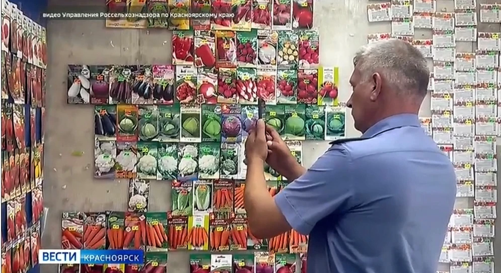 В Красноярске за торговлю незарегистрированными семенами оштрафовали магазин

Россельхознадзор и слу