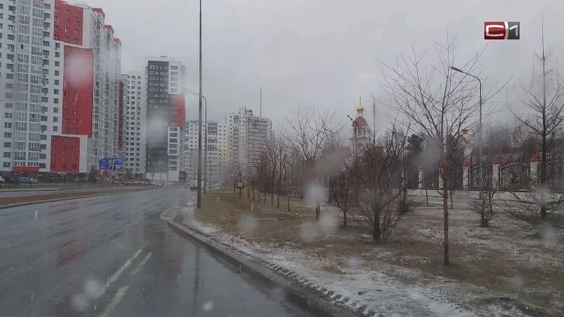 🌧 МЧС предупредило о гололеде и осадках в Югре