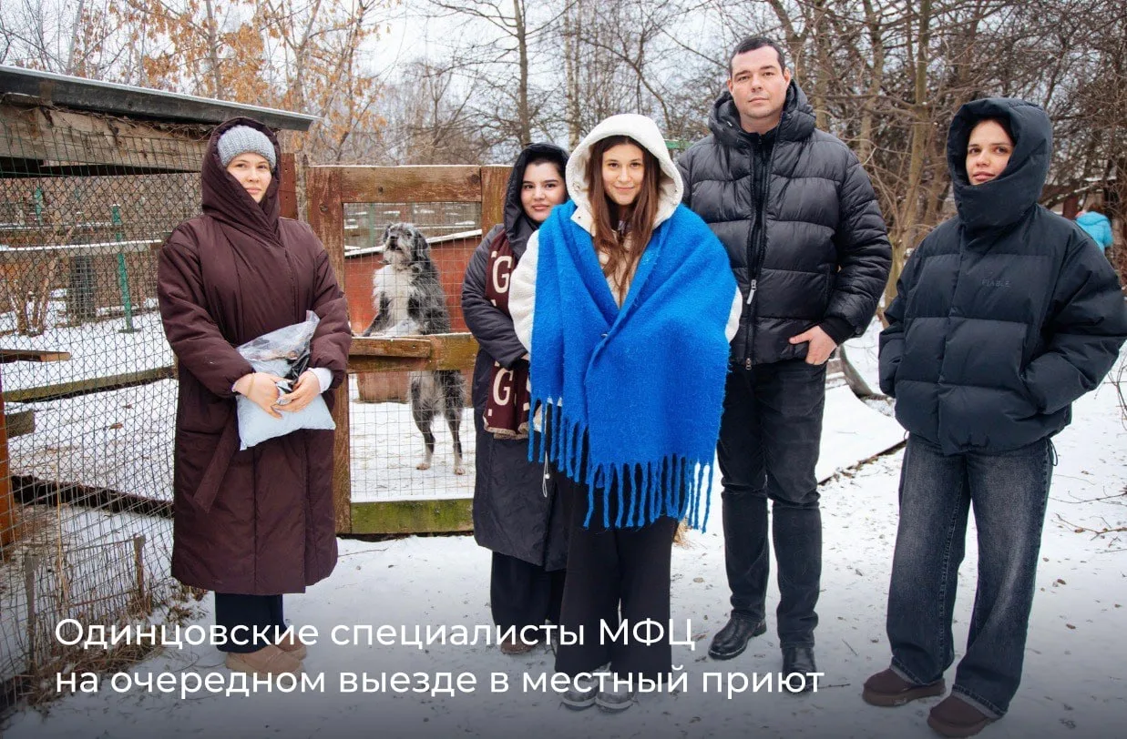 ❣️ МФЦ Московской области помогают не только людям  ☃️ Зима – настоящее испытание для бездомных живо