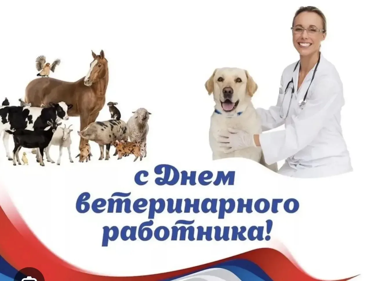 📌📌📌Дорогие коллеги!Уважаемые ветераны ветеринарной службы!