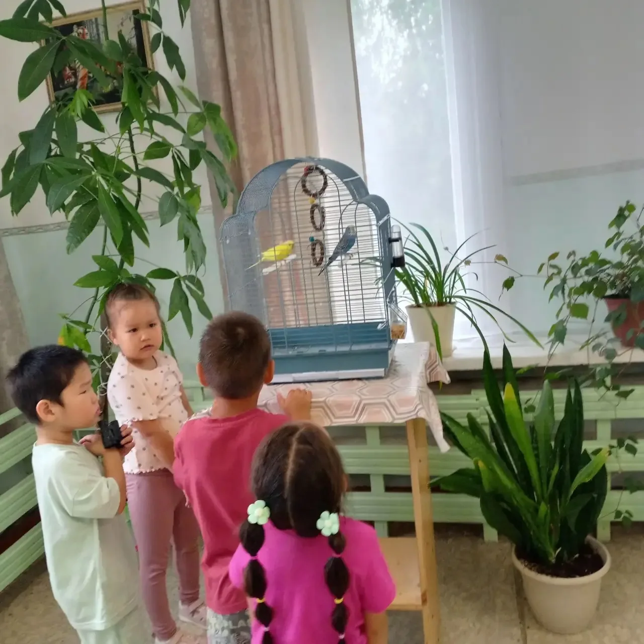 Живой уголок в нашем ДОУ - это маленький островок природы, который приносит в детский с...