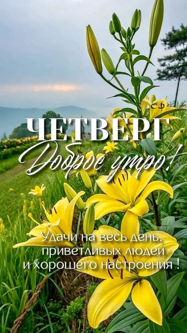 Изображение 1 к публикации «Твои открытки»