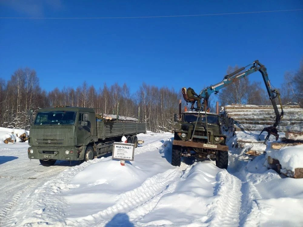 Помощь идёт из леса. Продолжаем рассказывать.
В наших предыдущих публикациях мы говорили о силе сооб