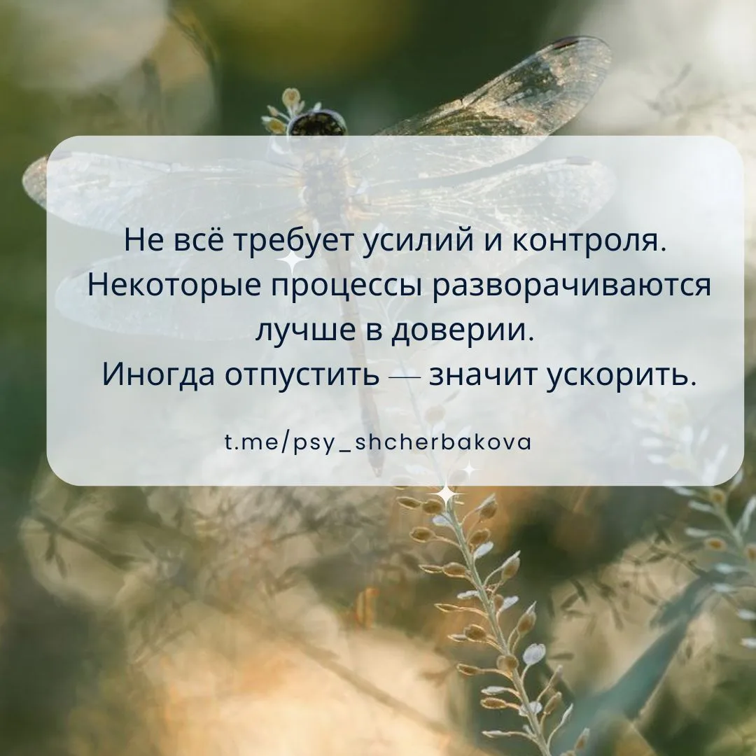 ✨ Неслучайная карта понедельника