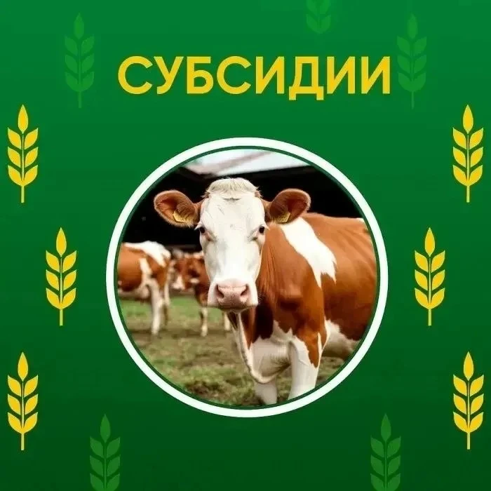 Министерство сельского хозяйства Забайкальского края объявляет отбор на получение субси...