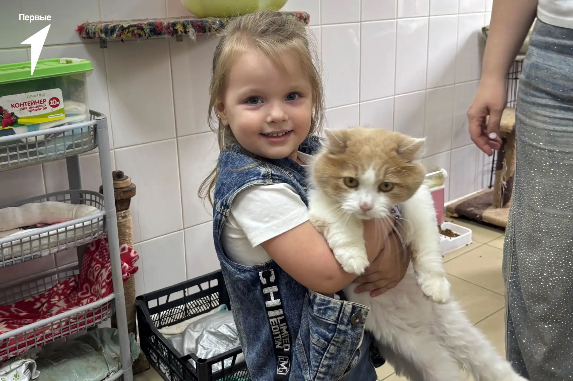 🐾 Осталось всего 3 дня, чтобы принять участие в весеннем сезоне акции #НосикиПервых