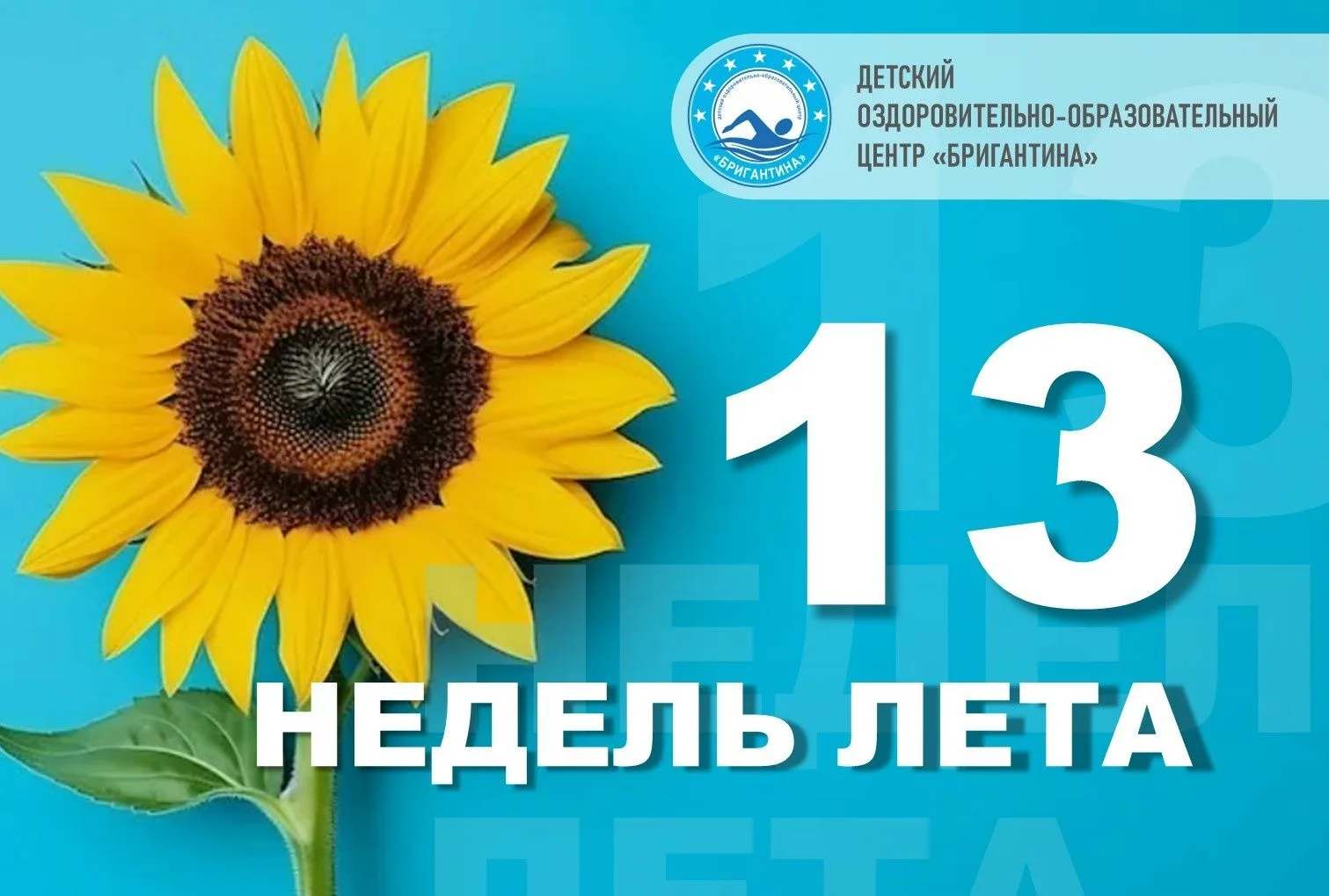 Друзья! Сегодня последний день весны, а уже завтра встречаем долгожданное лето!