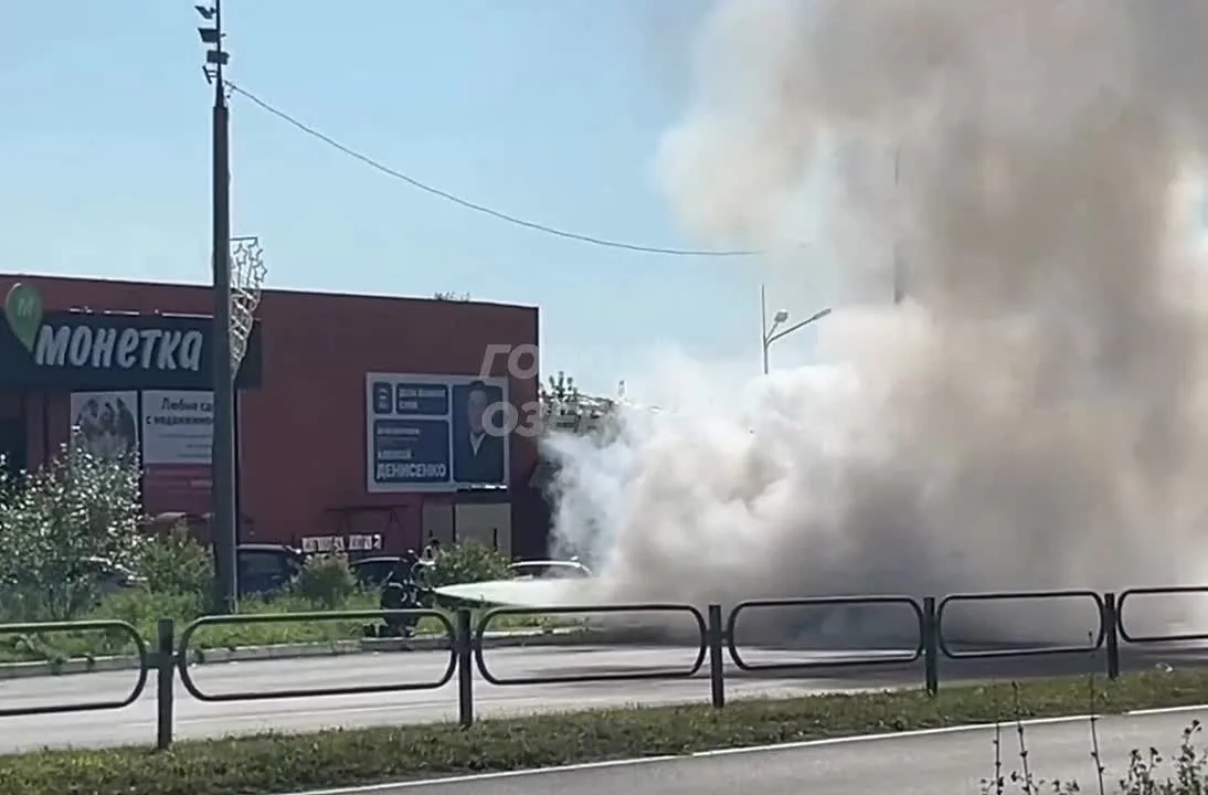 В Озёрске на дороге сгорел автомобиль