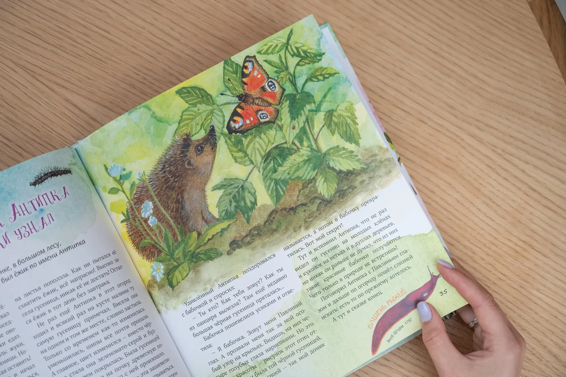 31 июля в 18:00 приглашаем вас на очередную встречу книжного клуба Третьяковской галереи, где живопи