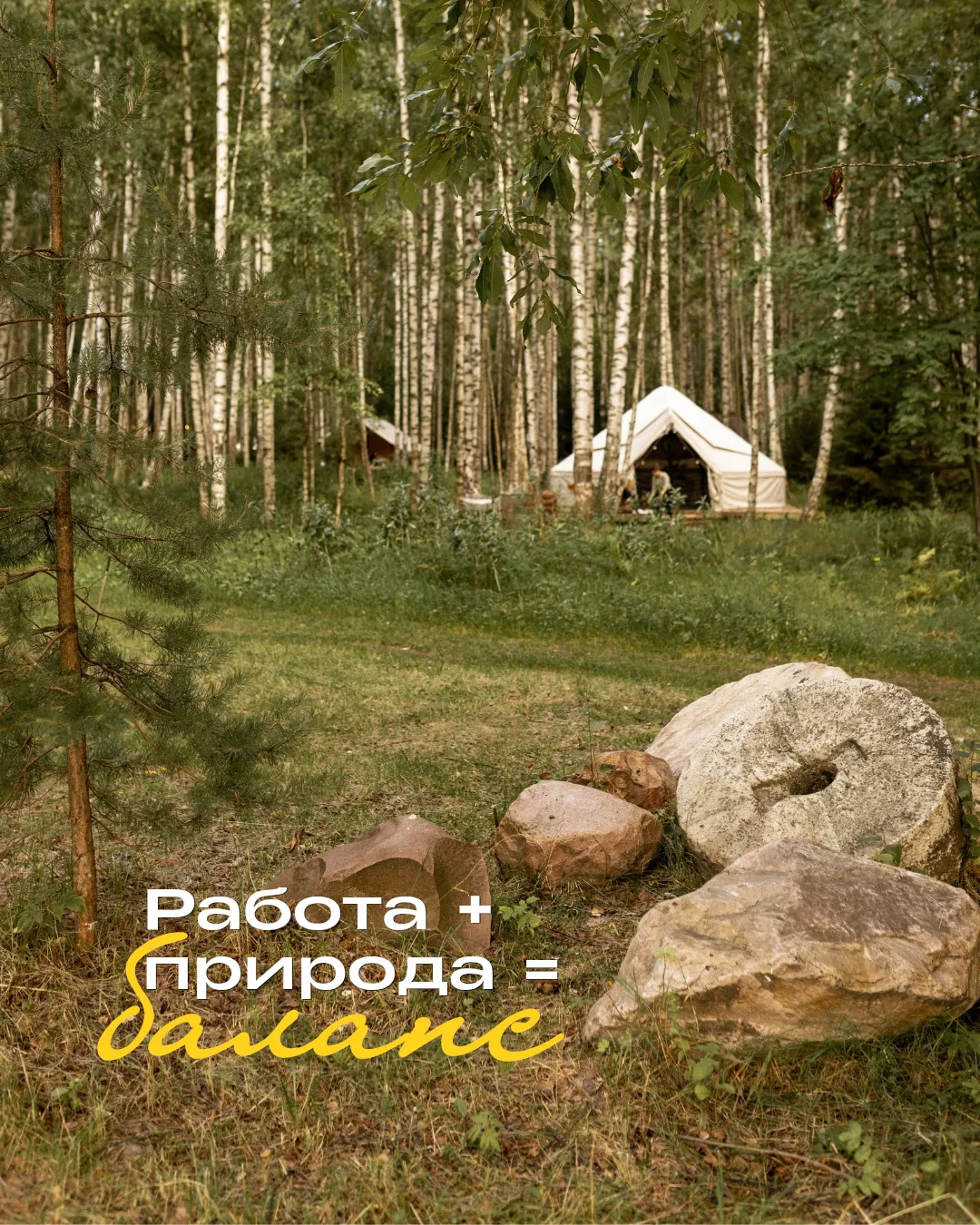 Работа + природа = баланс 🌿