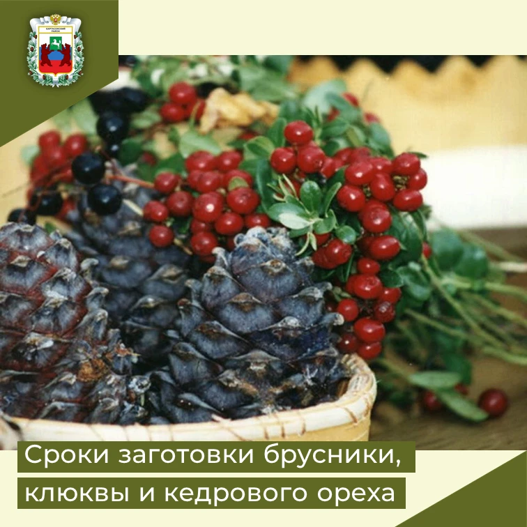 Уважаемые жители Каргасокского района!