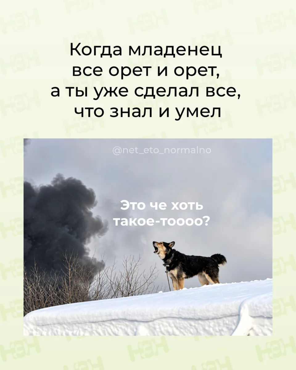 #мемы_нэн