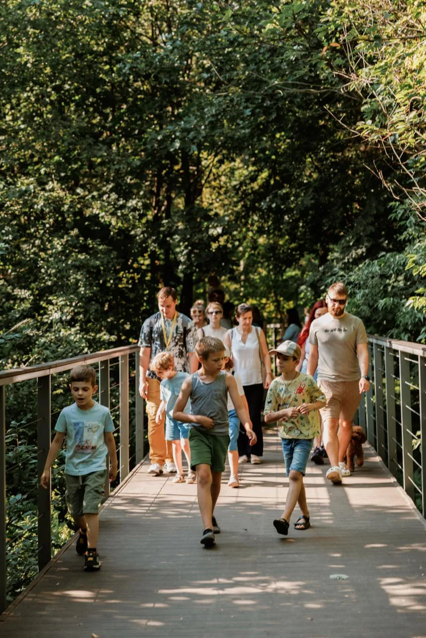 Лесные прогулки в августе 🌳