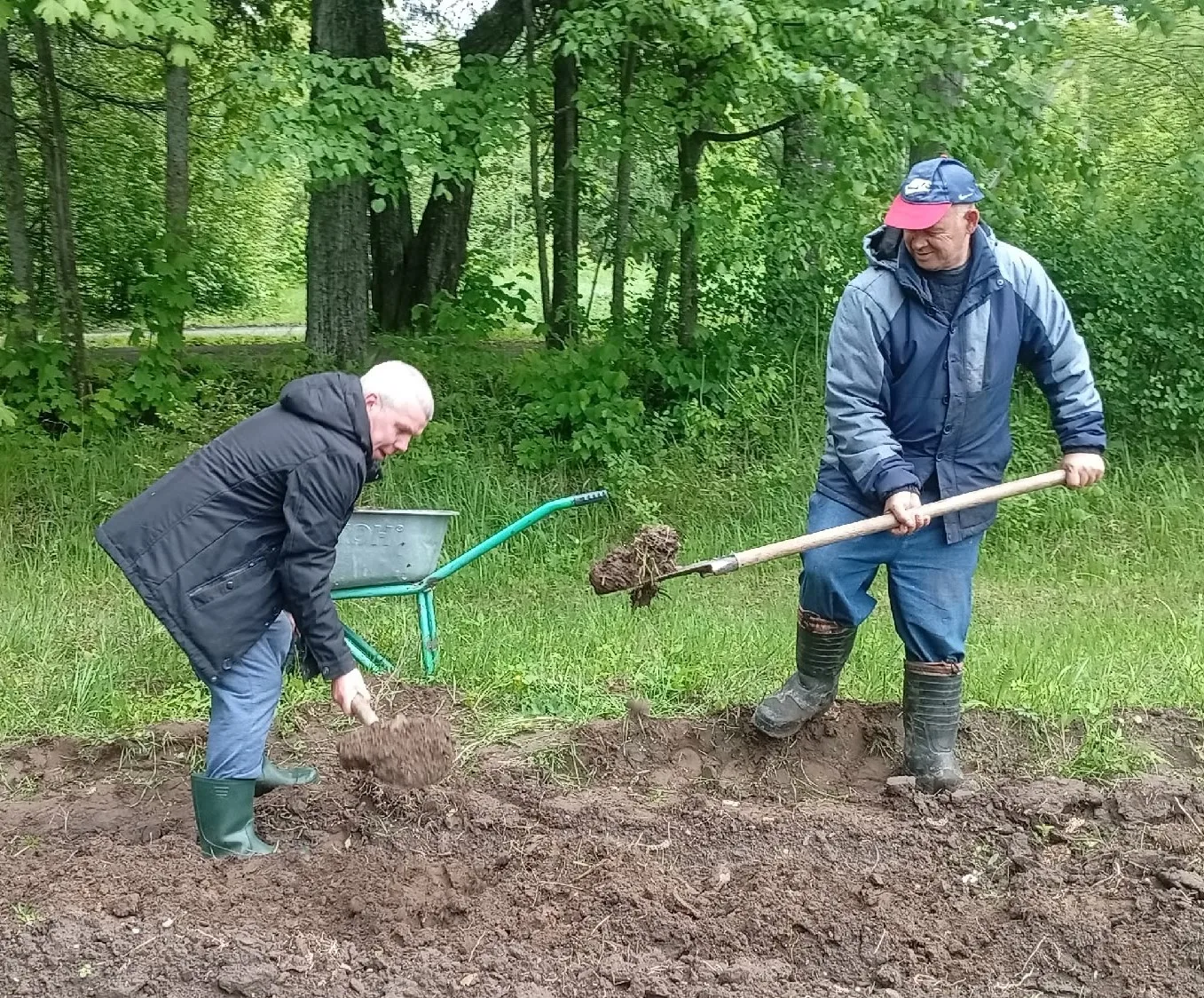 🌱 Наш огород растёт и радует! 🌱