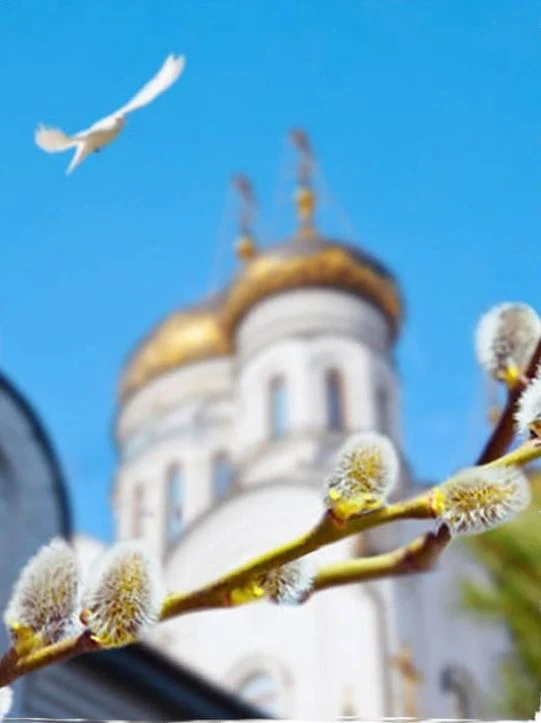 🕊 Молитва отца или матери о детях к Ангелу хранителю

Святый Ангеле хранителю моих чад (имена), пок