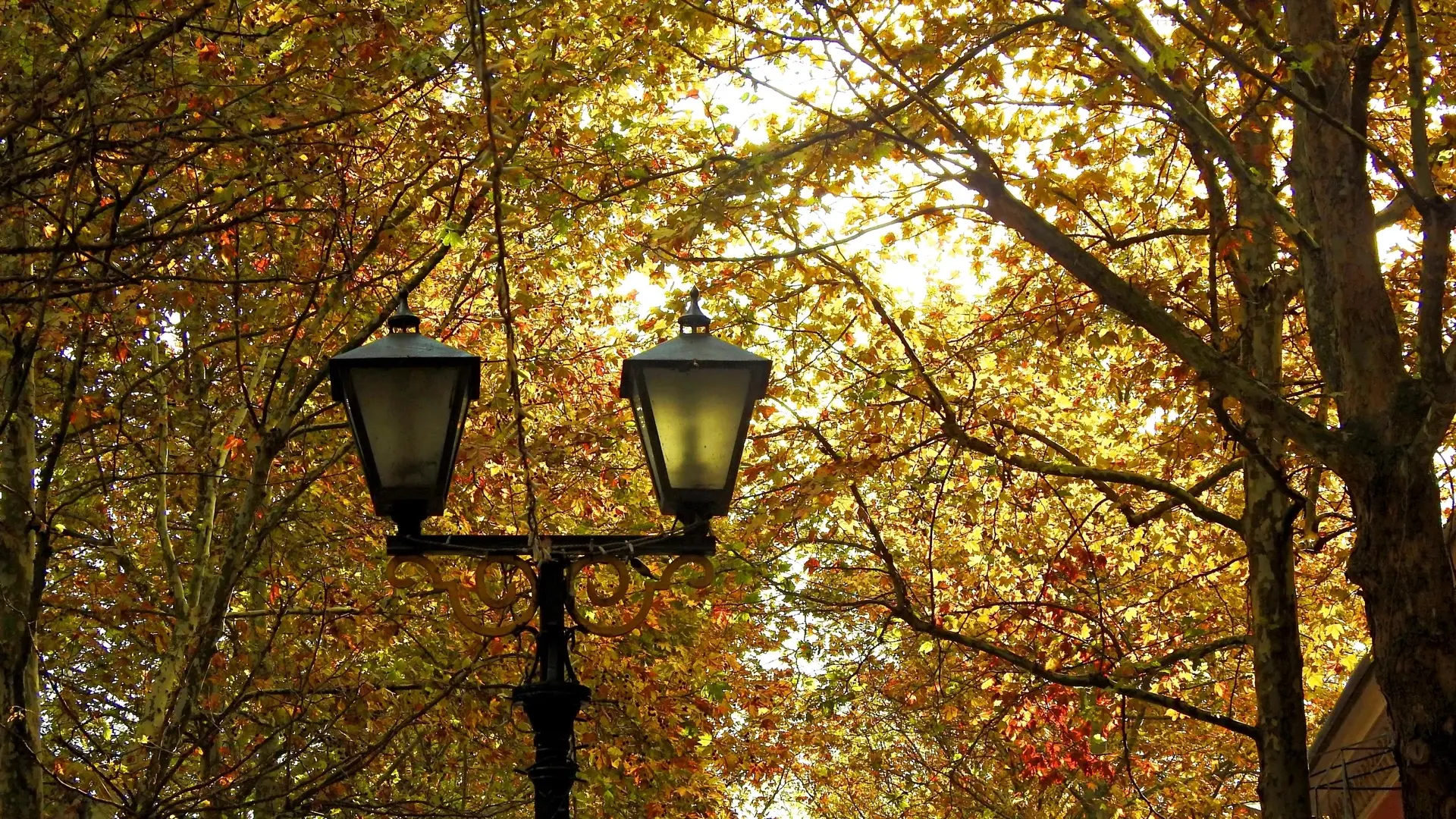 Осень 🍂