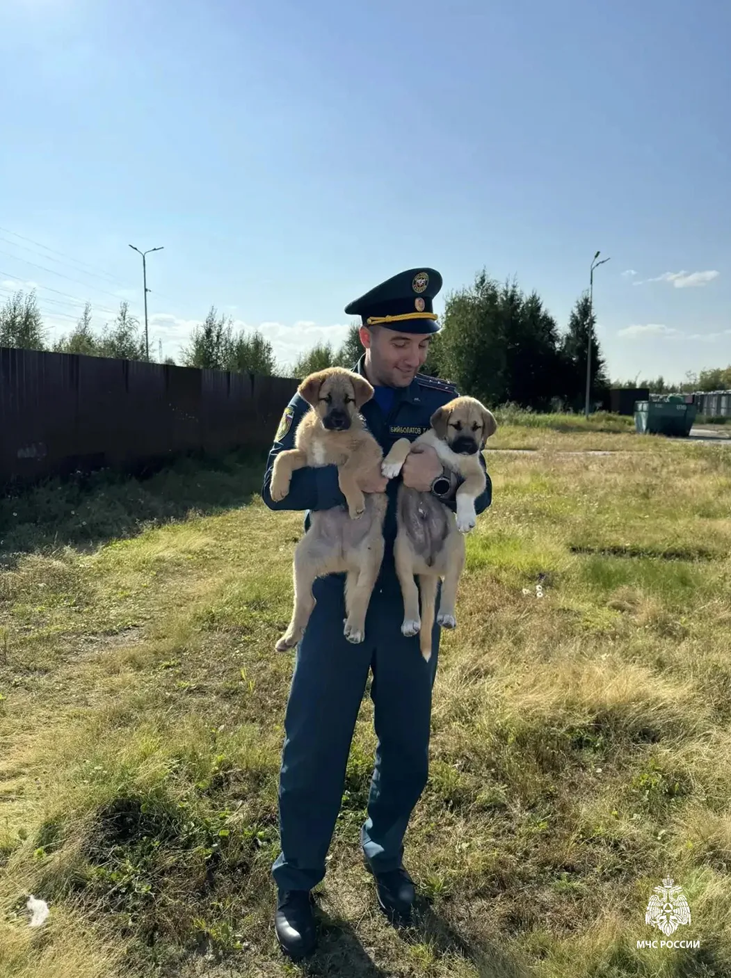Сотрудники Главного управления посетили приют для животных.