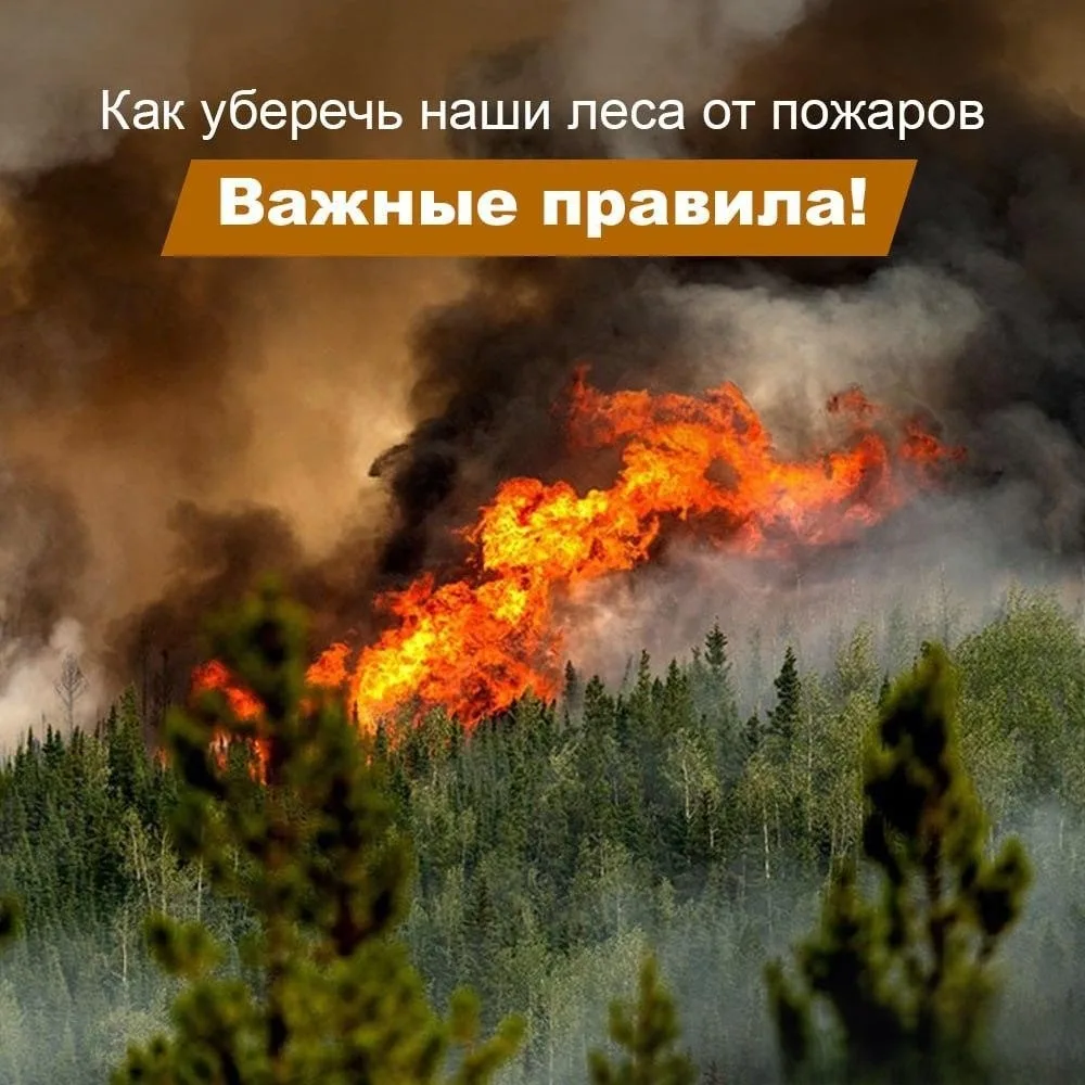 Будем беречь наши леса от огня🔥