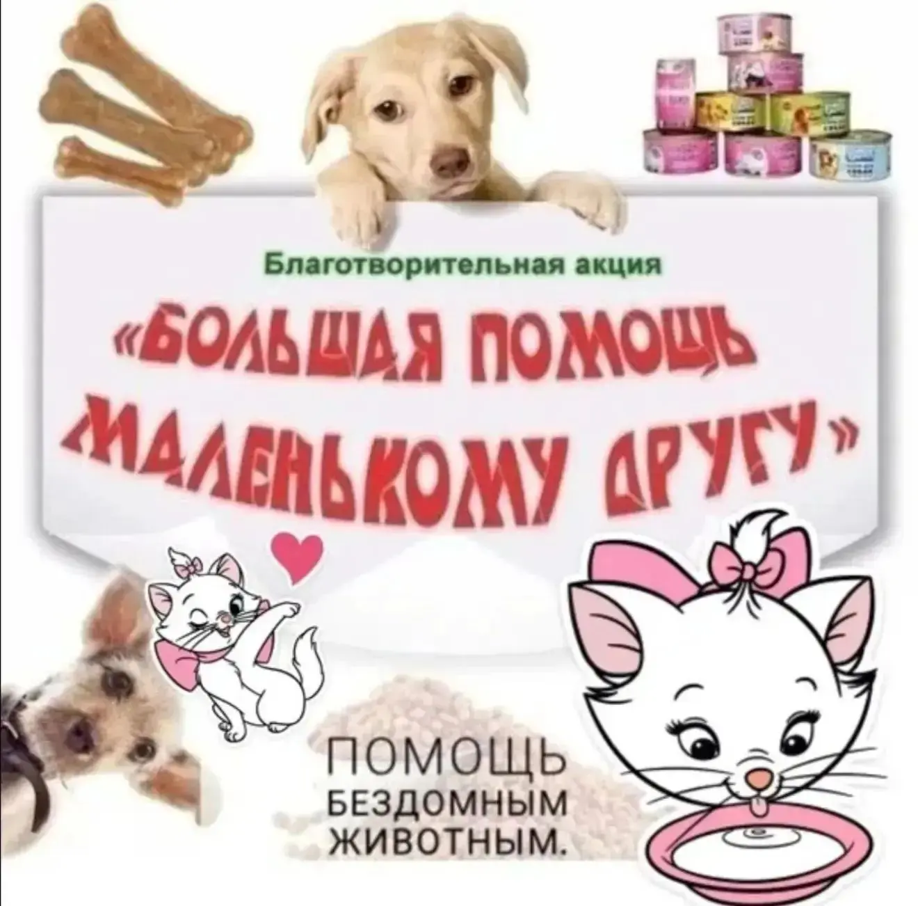 Ко Всемирному дню защиты животных — собираем помощь для хвостатых😻