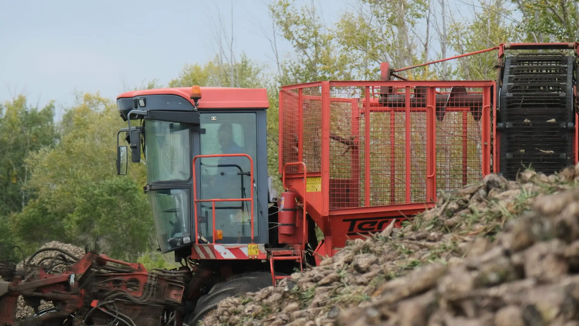 🌱В Башкортостане собрали более 470 тысяч тонн сахарной свеклы