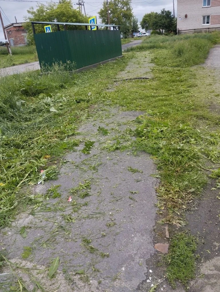 11.06.2026 г.