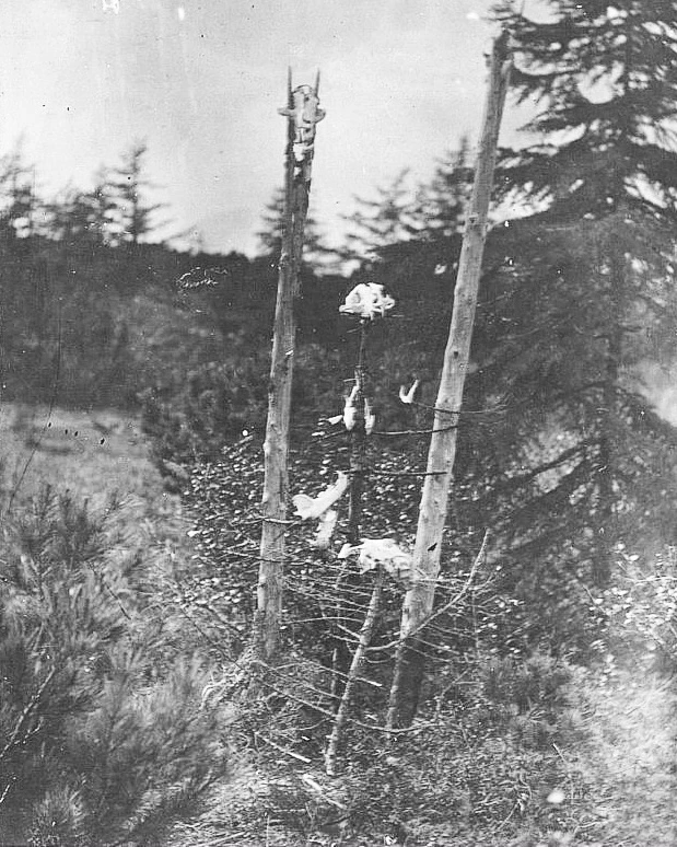 Священное медвежье кладбище 
Сахалин, 1909 год 
Нивхи (самоназвания – «нивх», «нивхгу», «нивух», «ни