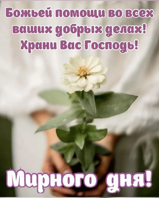 Мирного дня, дорогие! 🙏

Пусть Господь хранит вас и ваших близких, а всякое доброе дело сегодня спо
