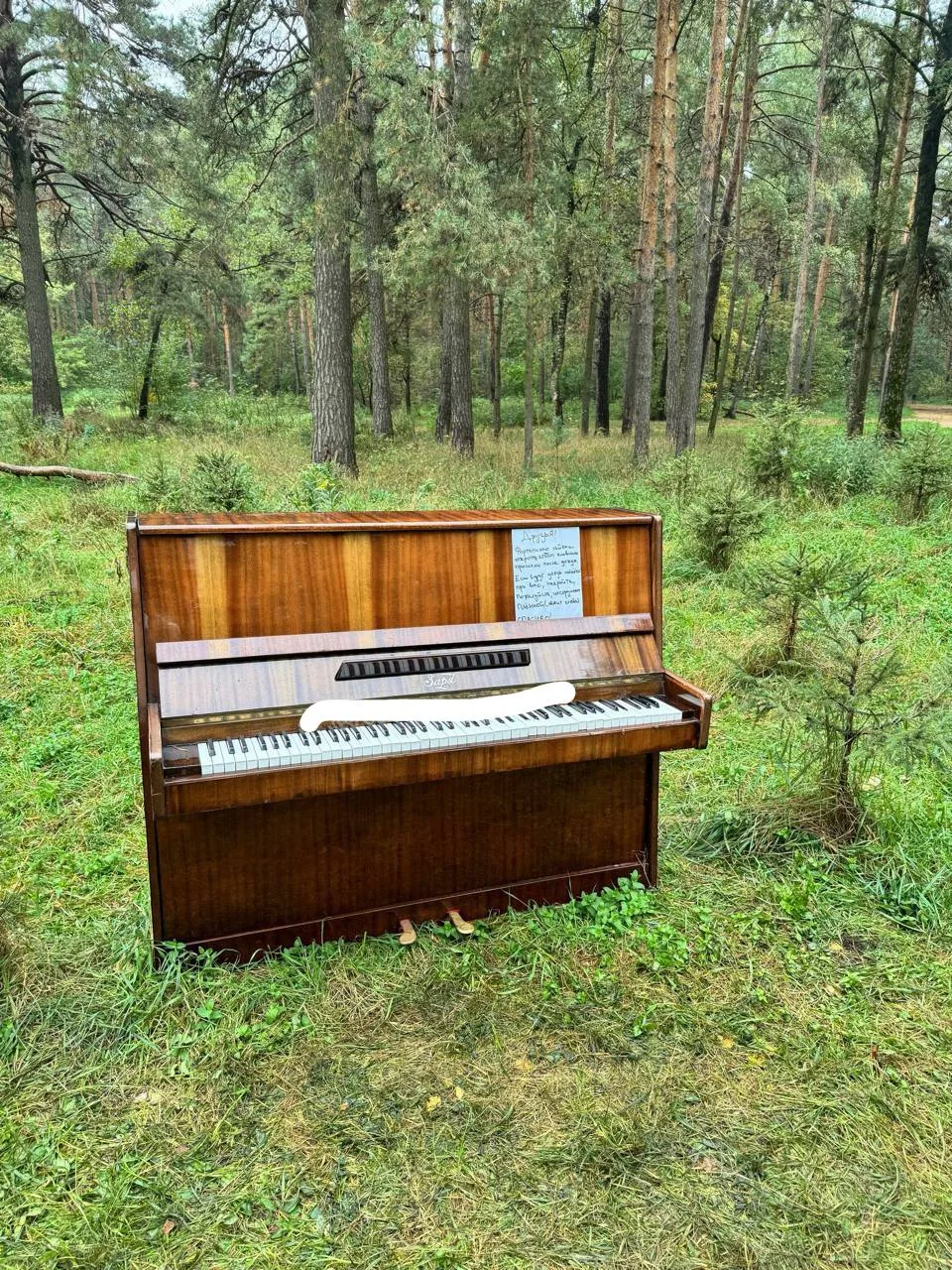 🎹В ЖК «Оранж Парк» кто-то выставил пианино в лес.