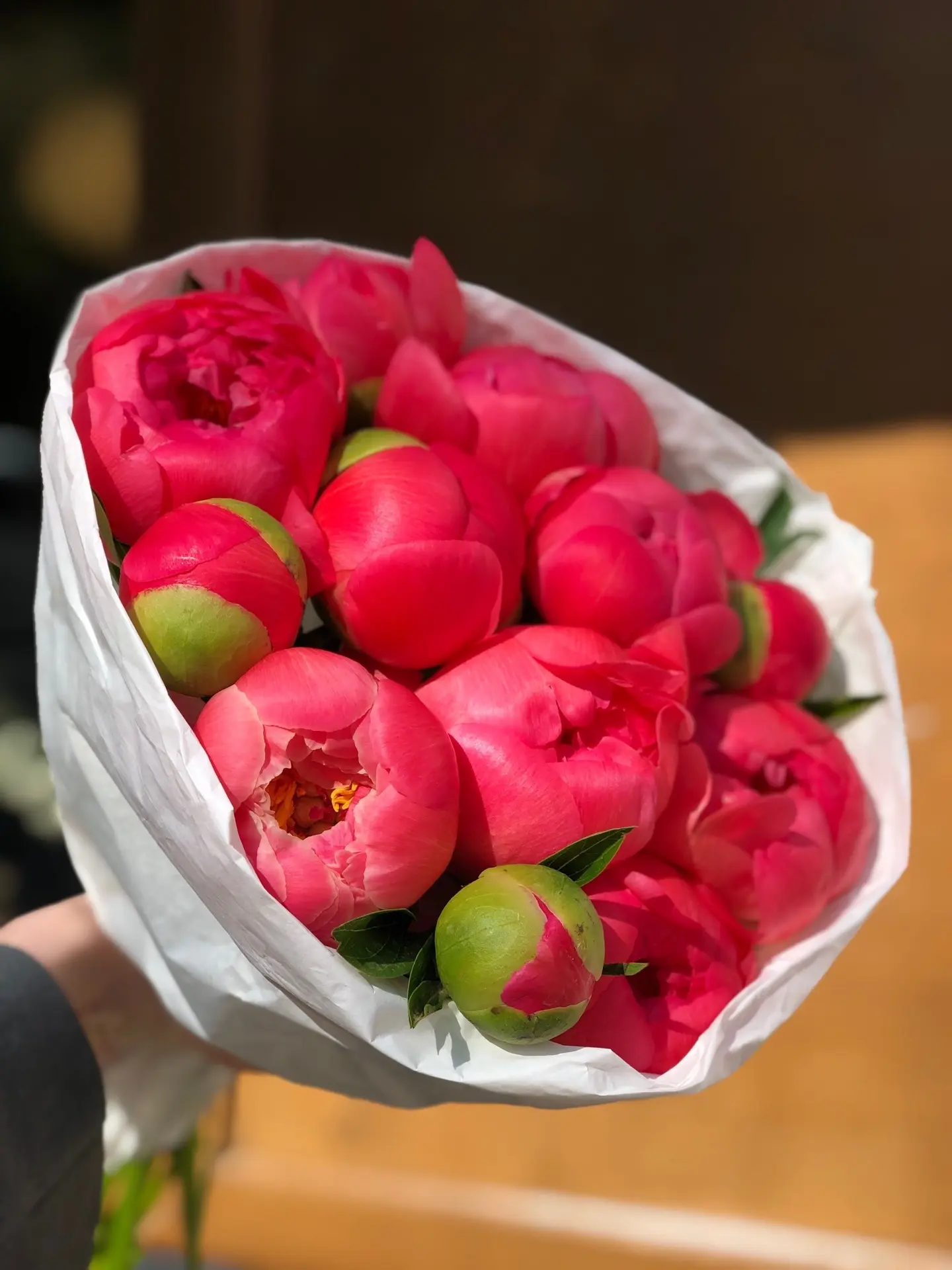 ПИОНЫ 💖