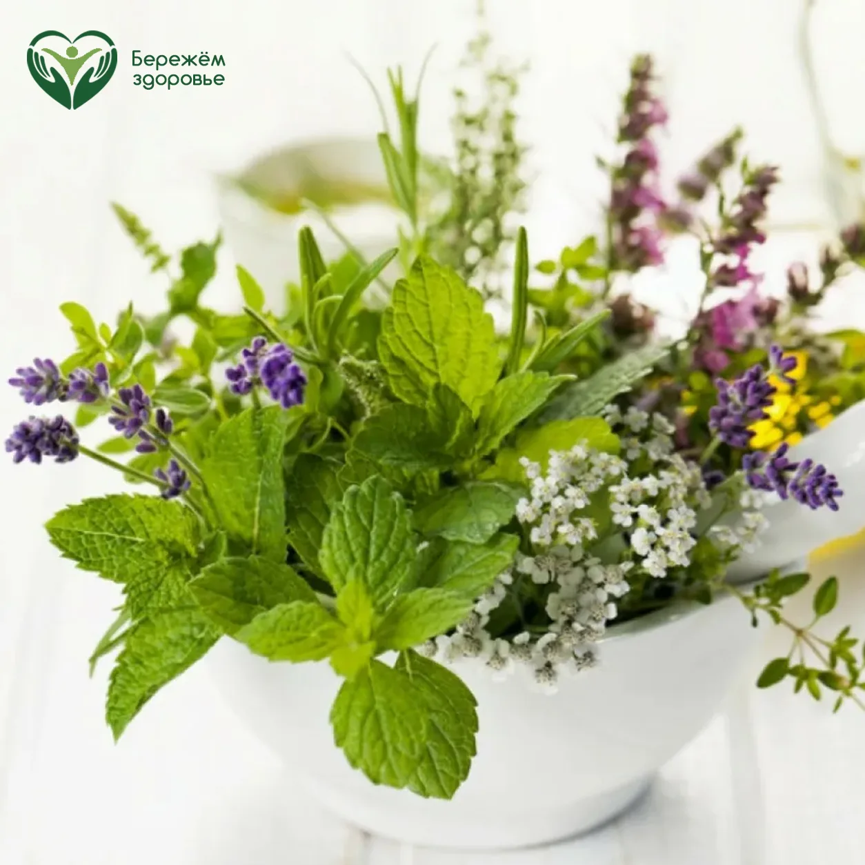 Природная аптечка для сна: валериана, мелисса и лаванда 🌿