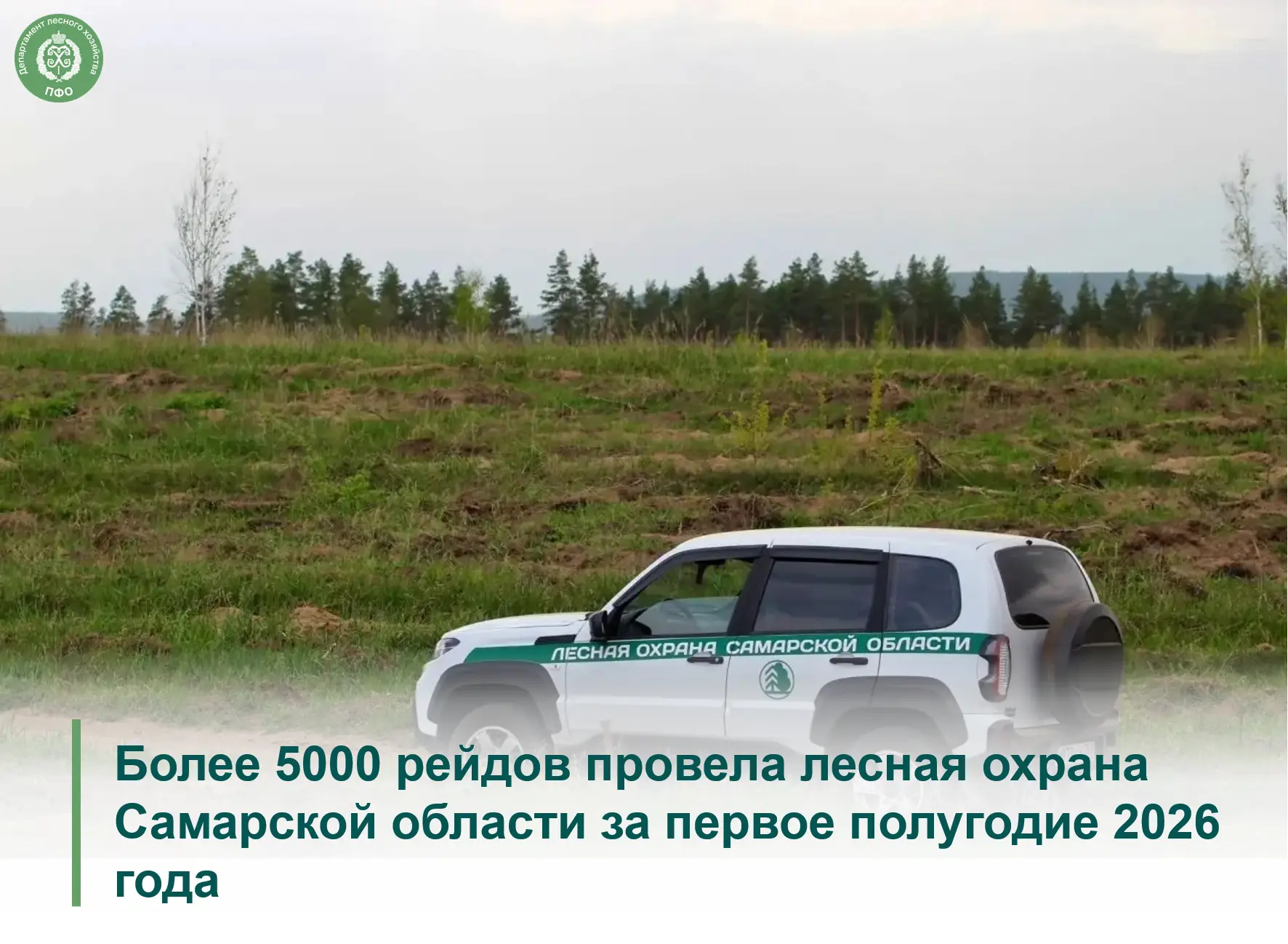 🌲 В 2026 году патрулирование лесного фонда в Самарской области организовано по 632 мар...