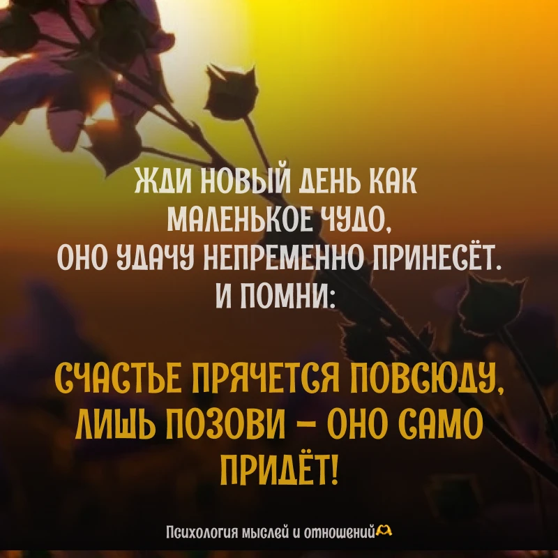 Раньше я просыпалась и сразу хмурилась: «Опять этот день. Опять дела. Опять ничего хорошего». Я ждал