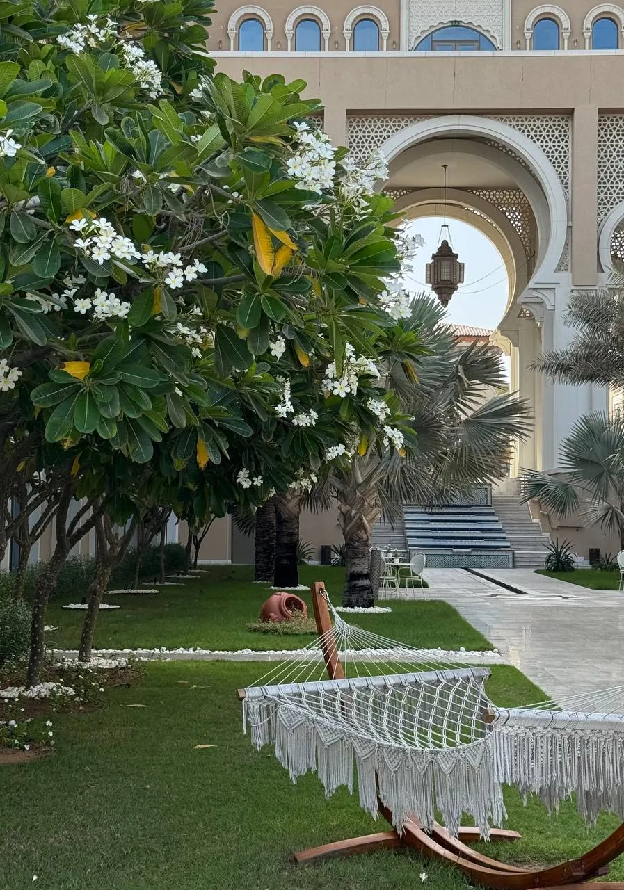 ОАЭ СНОВА В ПРОДАЖЕ!

📍Rixos Premium Saadiyat Island 5*

Арабские Мальдивы (ОАЭ)

-отель расположен