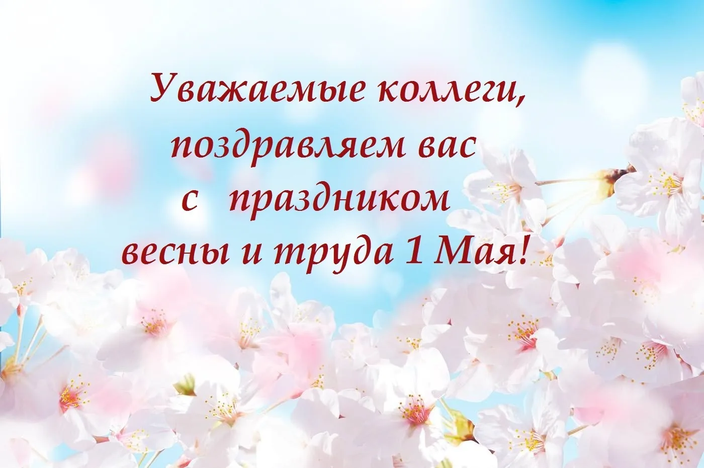 Уважаемые коллеги! Примите искренние поздравления с Днем Весны и Труда – 1 Мая! Этот пр...