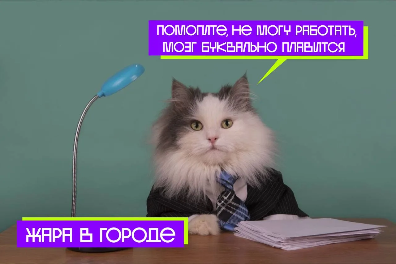 А на чьей стороне вы? 

❤️ — ловлю холодный воздух от кондиционера в офисе

🔥 — греюсь на солнышке
