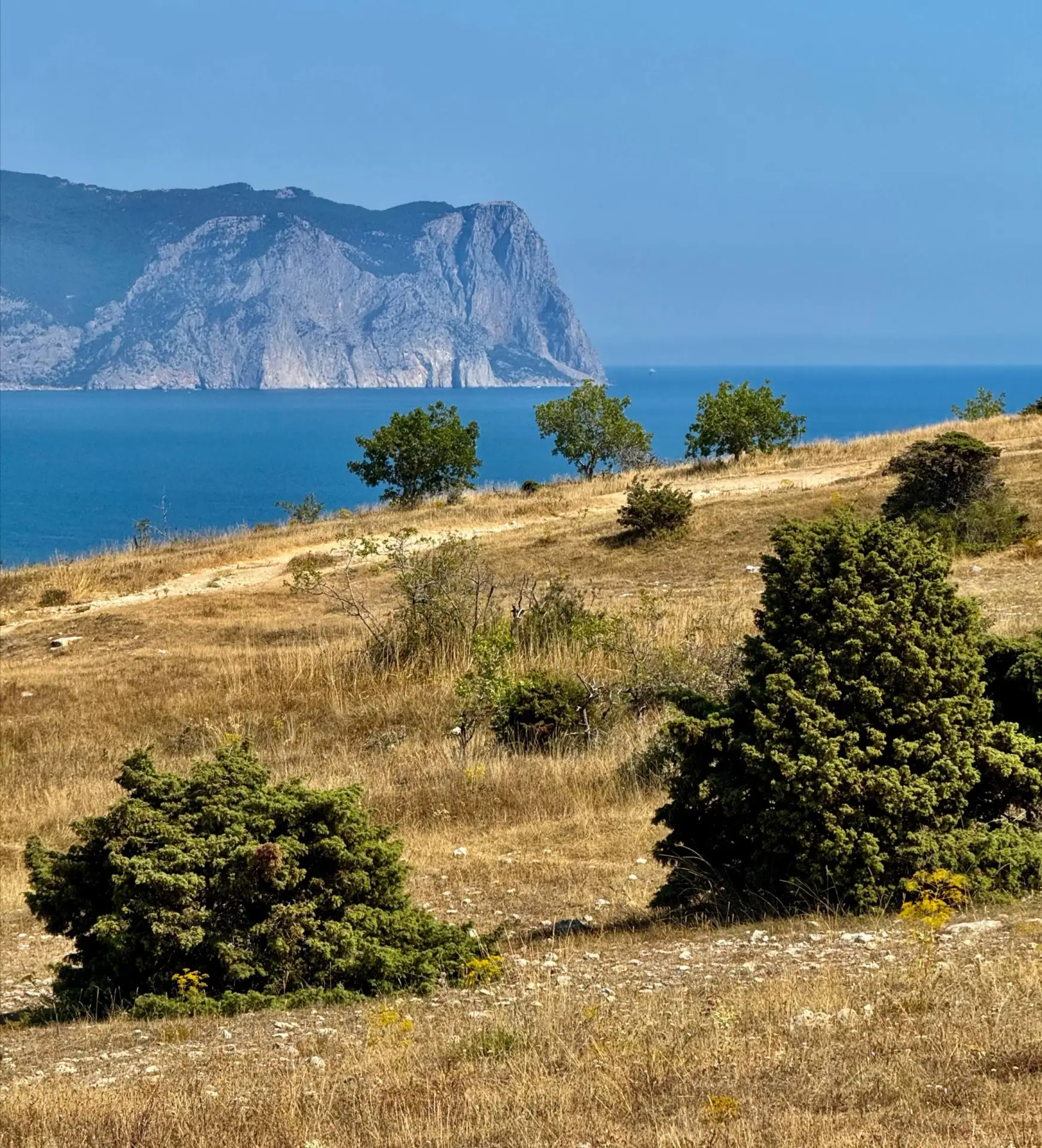 Прогноз погоды в Крыму на вторник. 

• Симферополь: +28°, ясно ☀️
• Севастополь: +26°, ясно ☀️
• Ялт