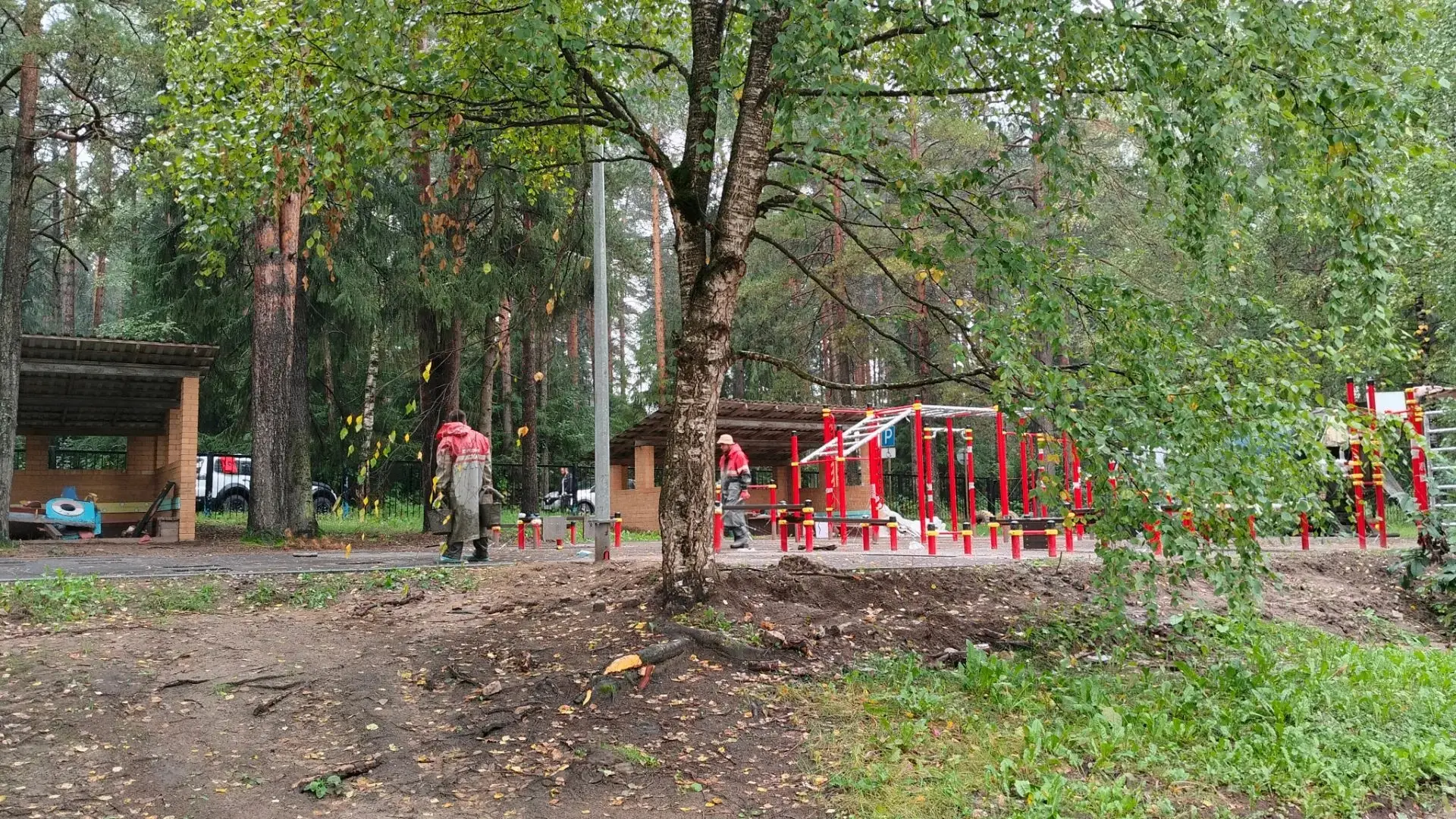 ⚡️ На территории спортивной базы "Росинка" школы олимпийского резерва "Олимпиец" начало...